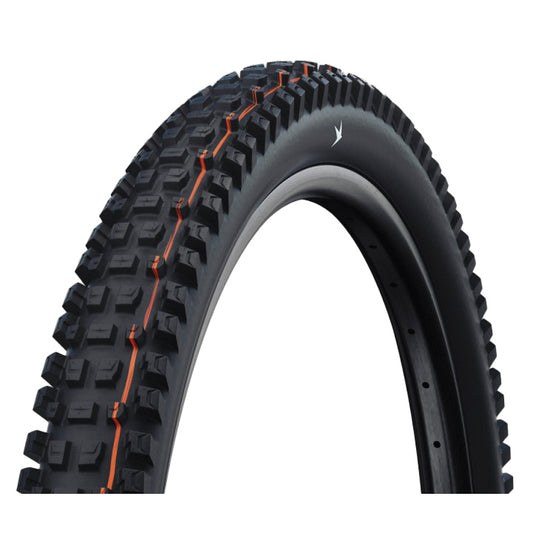 Schwalbe Albert